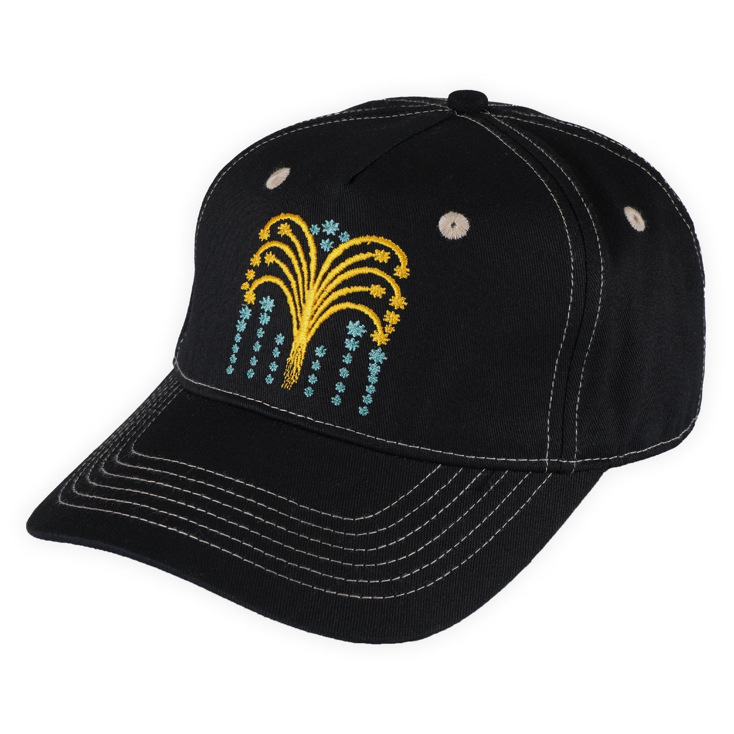 Pass-Port - Roman Candle Packers Cap - Black - Velocity 21