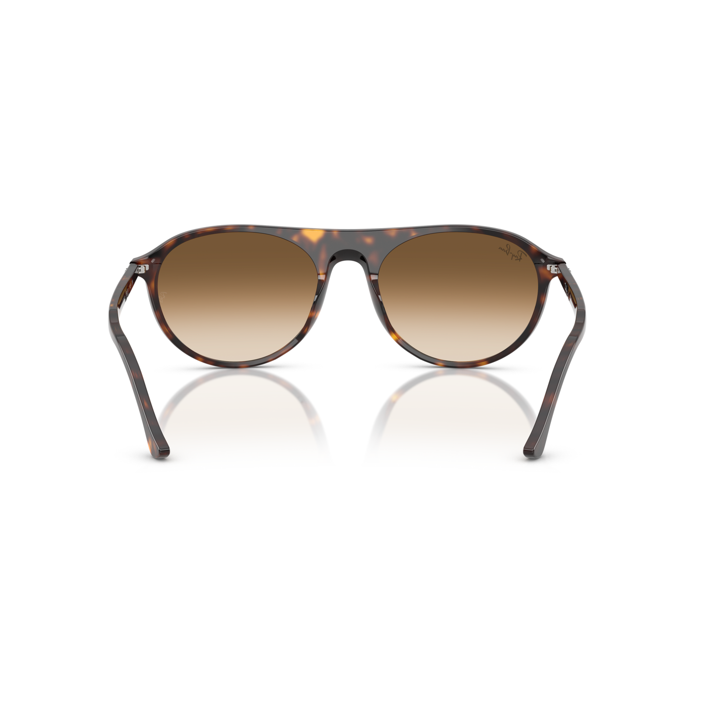 Sunglasses with tortoiseshell frame and brown gradient lenses on a white background Polished Havana + Clear Gradient Brown