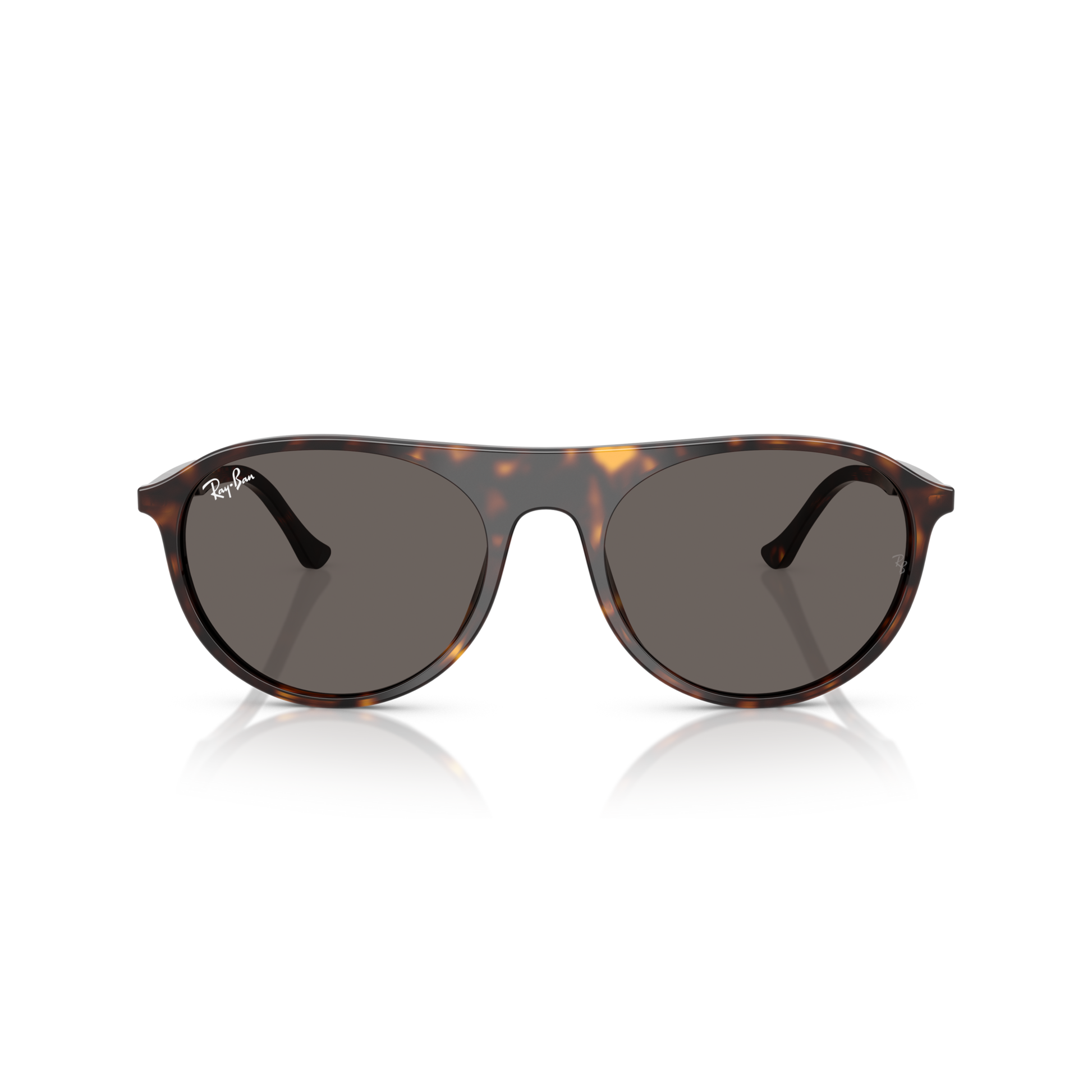 Tortoiseshell sunglasses with dark lenses on a white background Polished Havana + Dark Grey