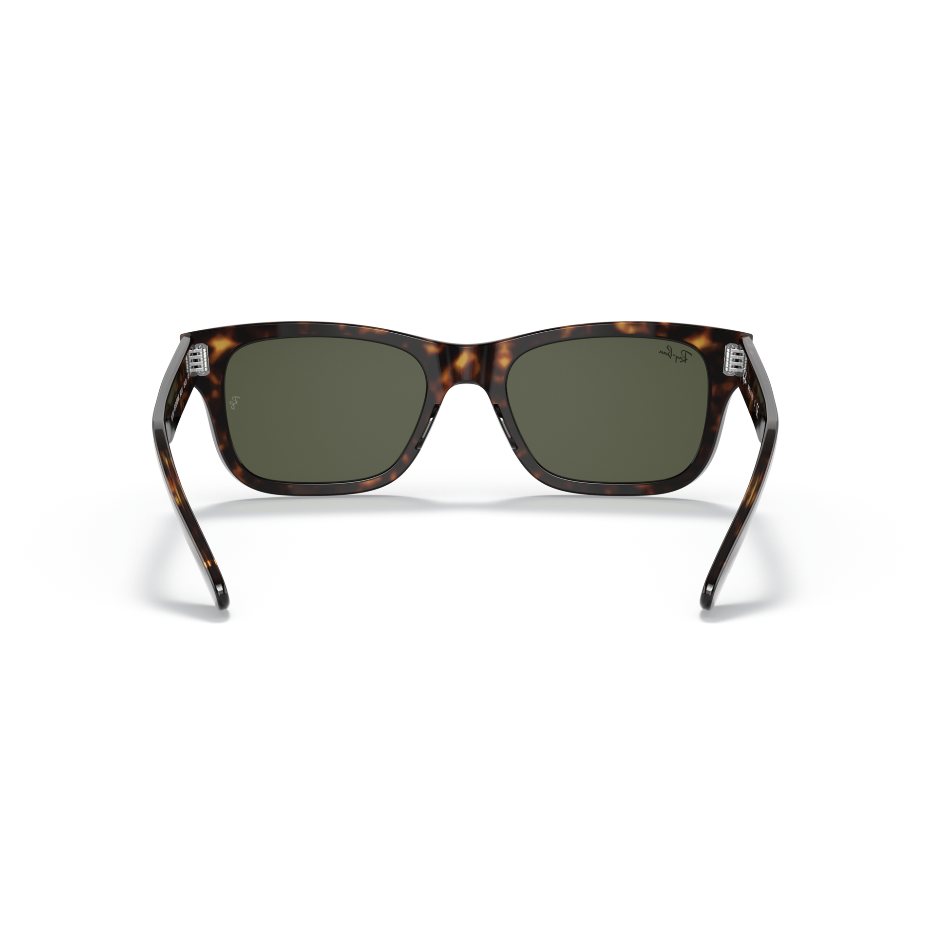 Tortoiseshell sunglasses with dark lenses on a white background Polished Havana + G-15 Green