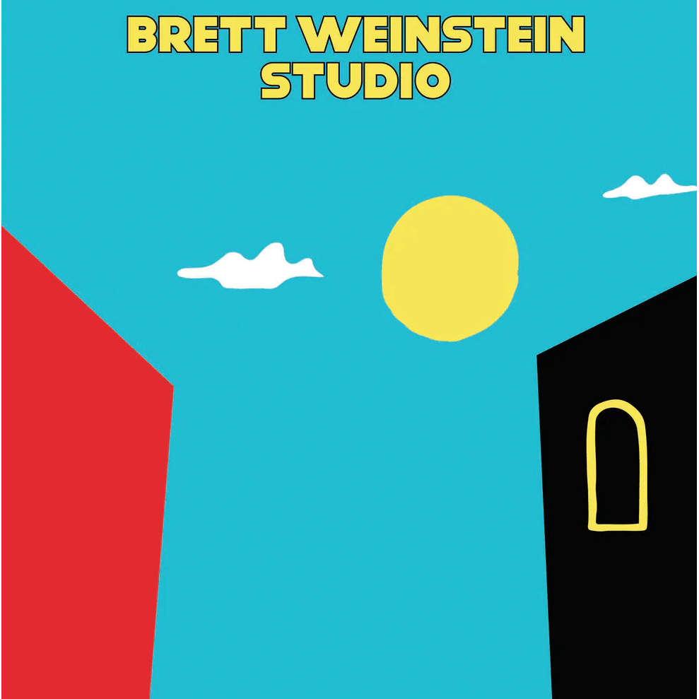 Studio - Alley Cat Deck - 8.375" - Velocity 21