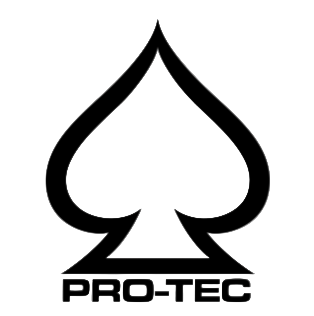 Pro-Tec logo in black and white | Velocity 21