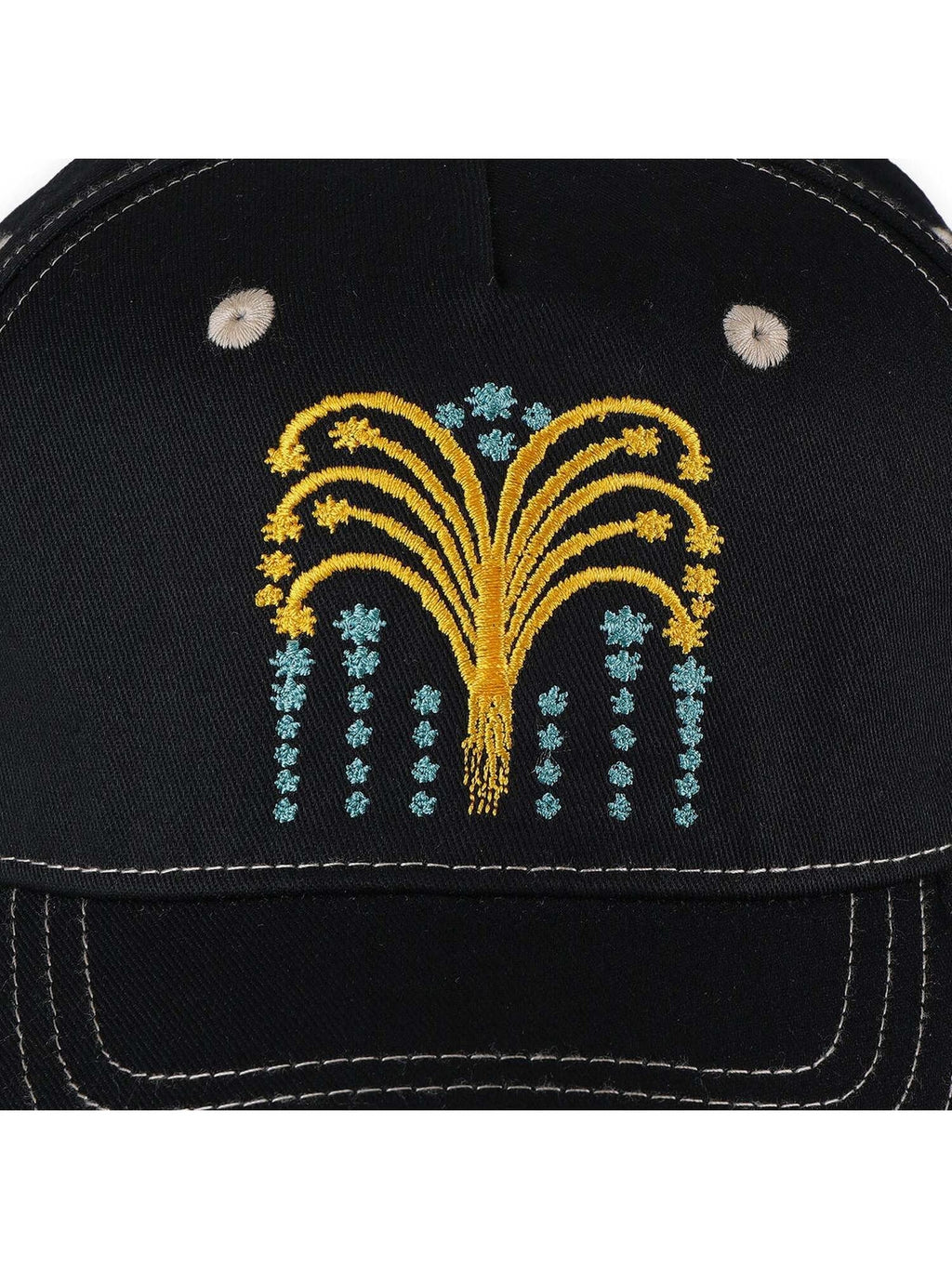 Pass-Port - Roman Candle Packers Cap - Black - Velocity 21
