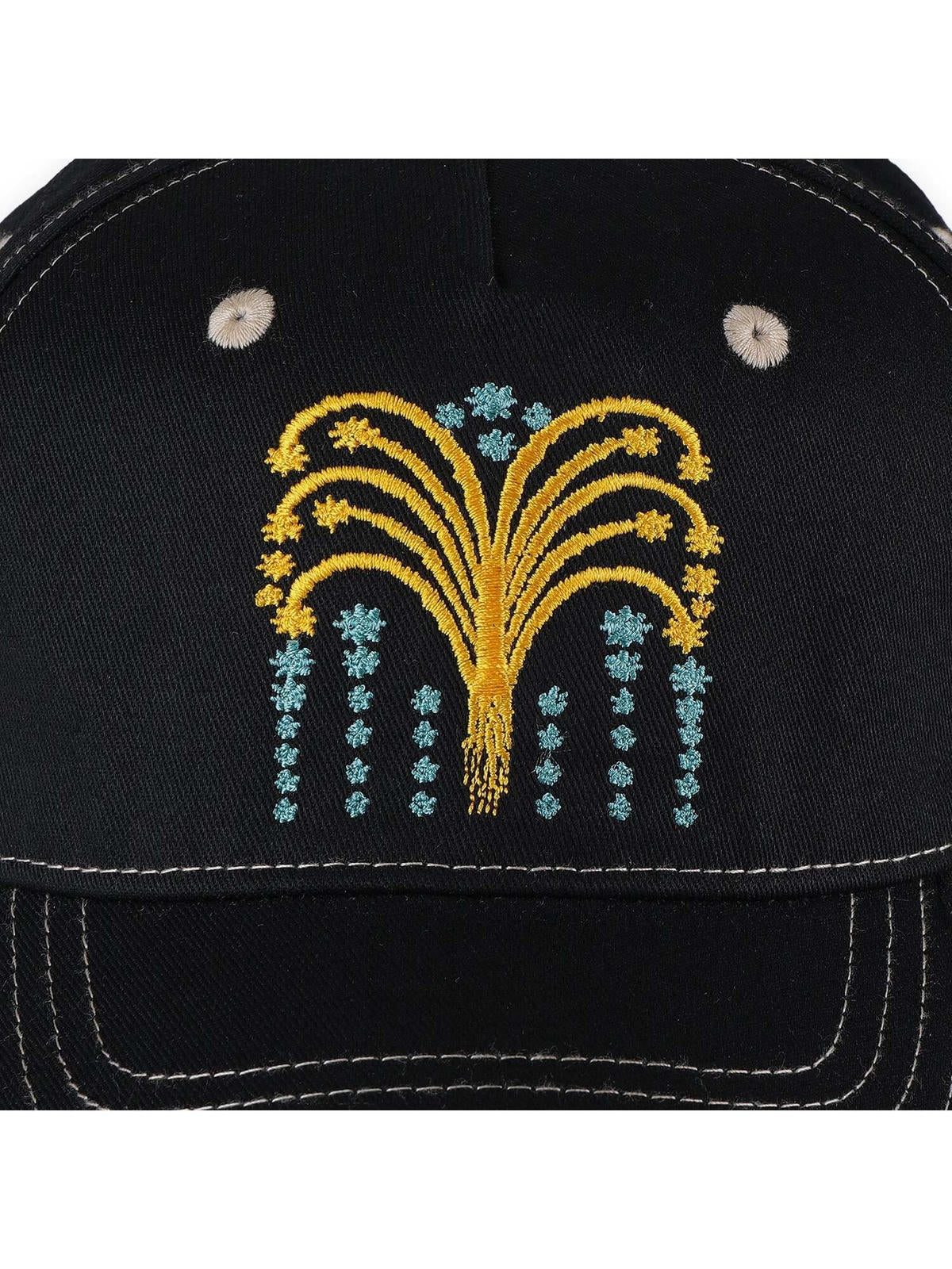 Pass-Port - Roman Candle Packers Cap - Black - Velocity 21