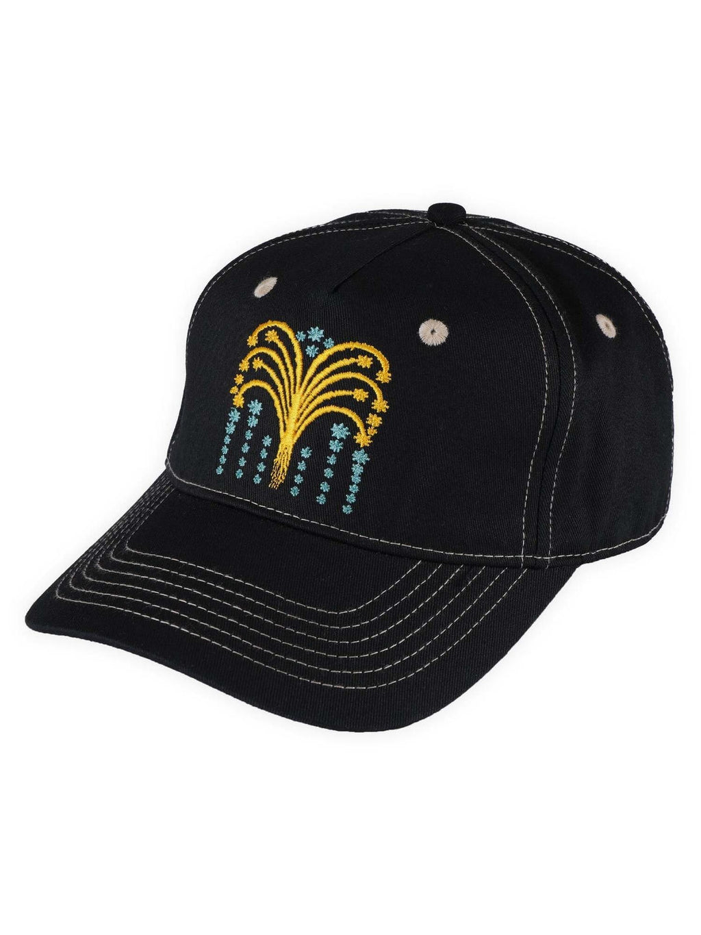 Pass-Port - Roman Candle Packers Cap - Black - Velocity 21