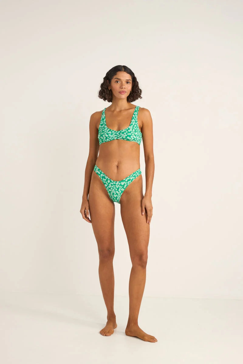 Evergreen Floral Holiday Pant