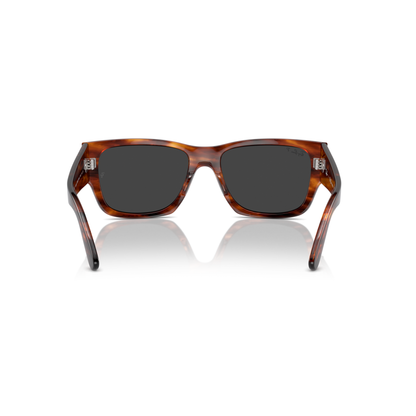 Sunglasses with tortoiseshell frame and dark lenses on a white background Polished Striped Havana + Black Polarised