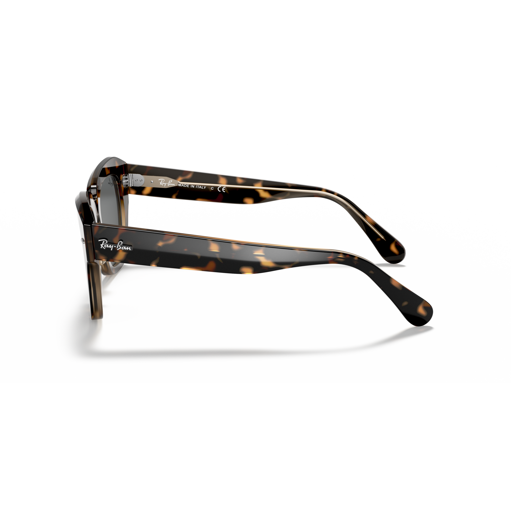 Sunglasses with tortoiseshell frame on a white background Polished Havana on Transparent Brown + Dark Grey