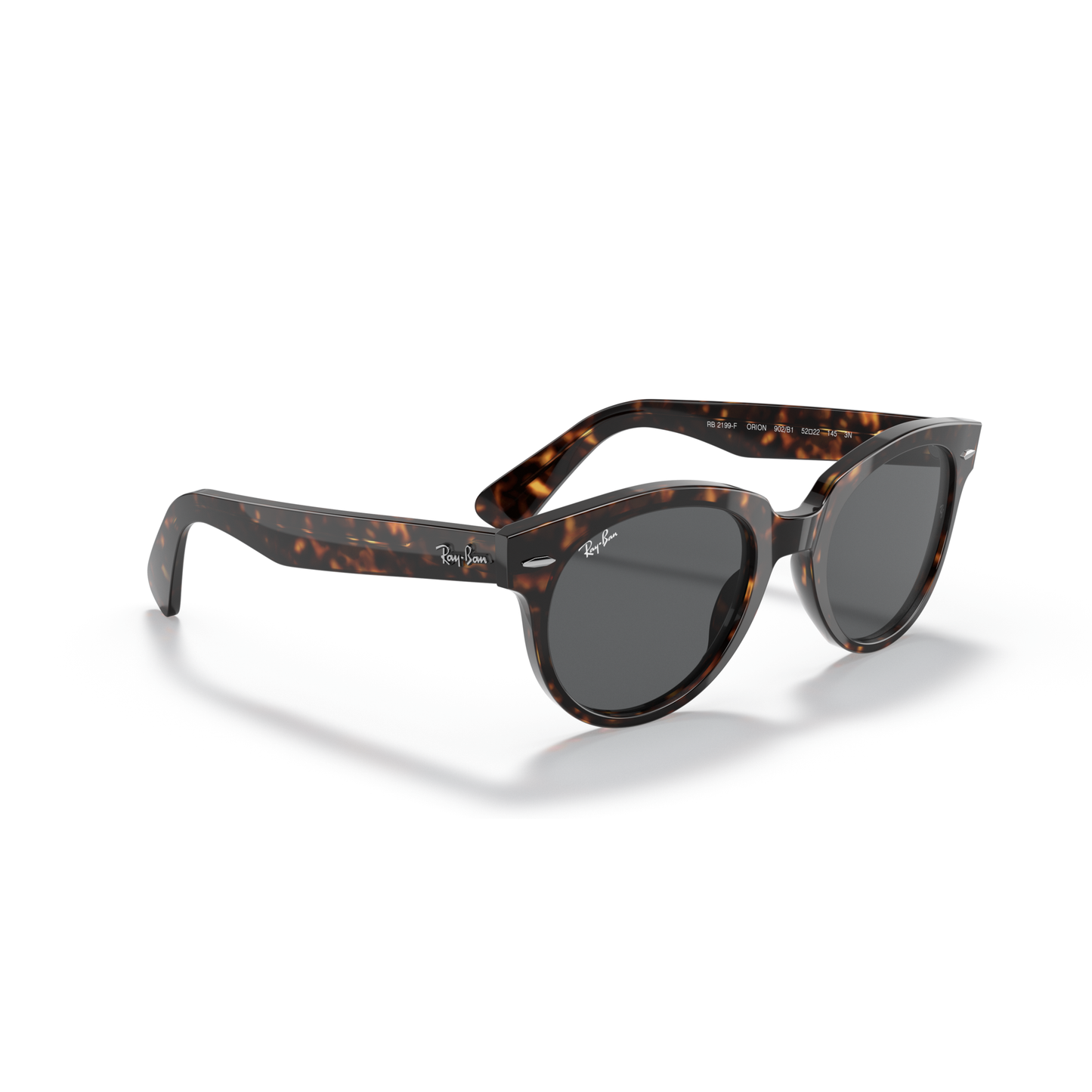 Sunglasses with tortoiseshell frame and dark lenses on a white background Polished Tortoise + Dark Grey