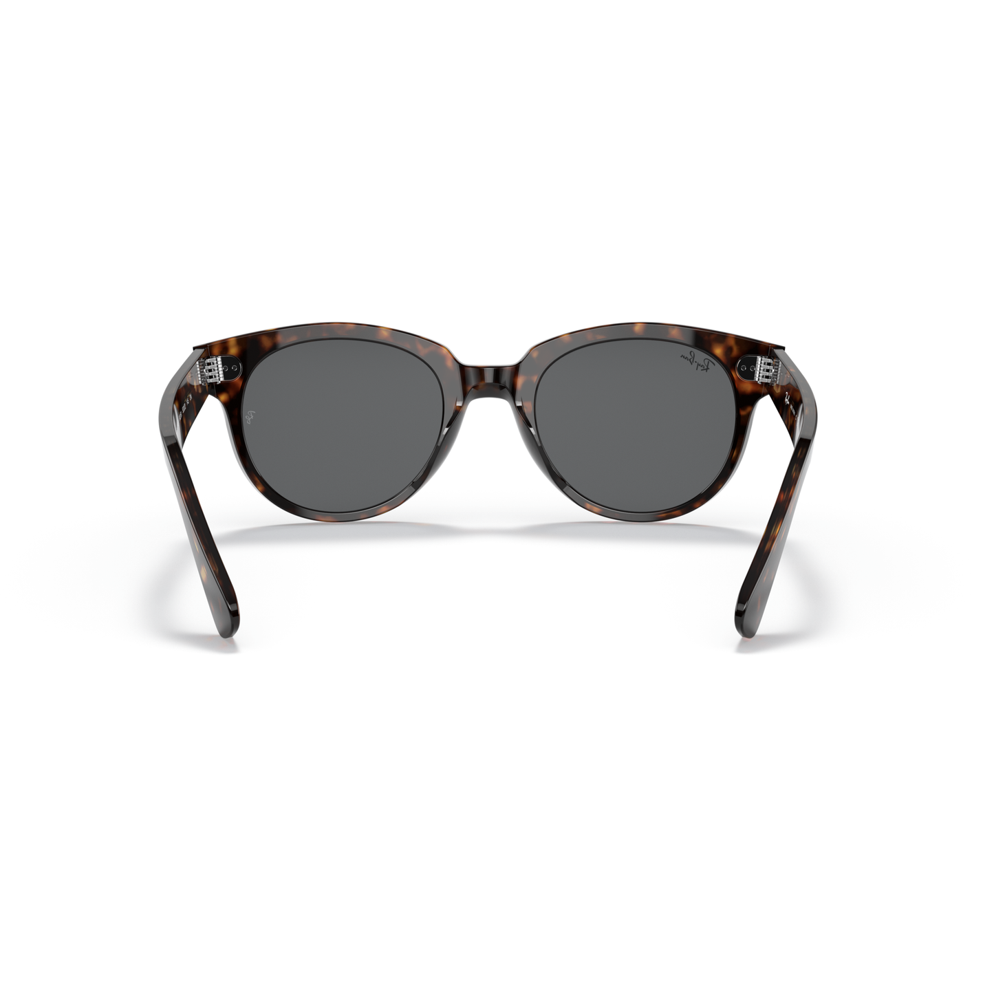 Tortoiseshell sunglasses with dark lenses on a white background Polished Tortoise + Dark Grey