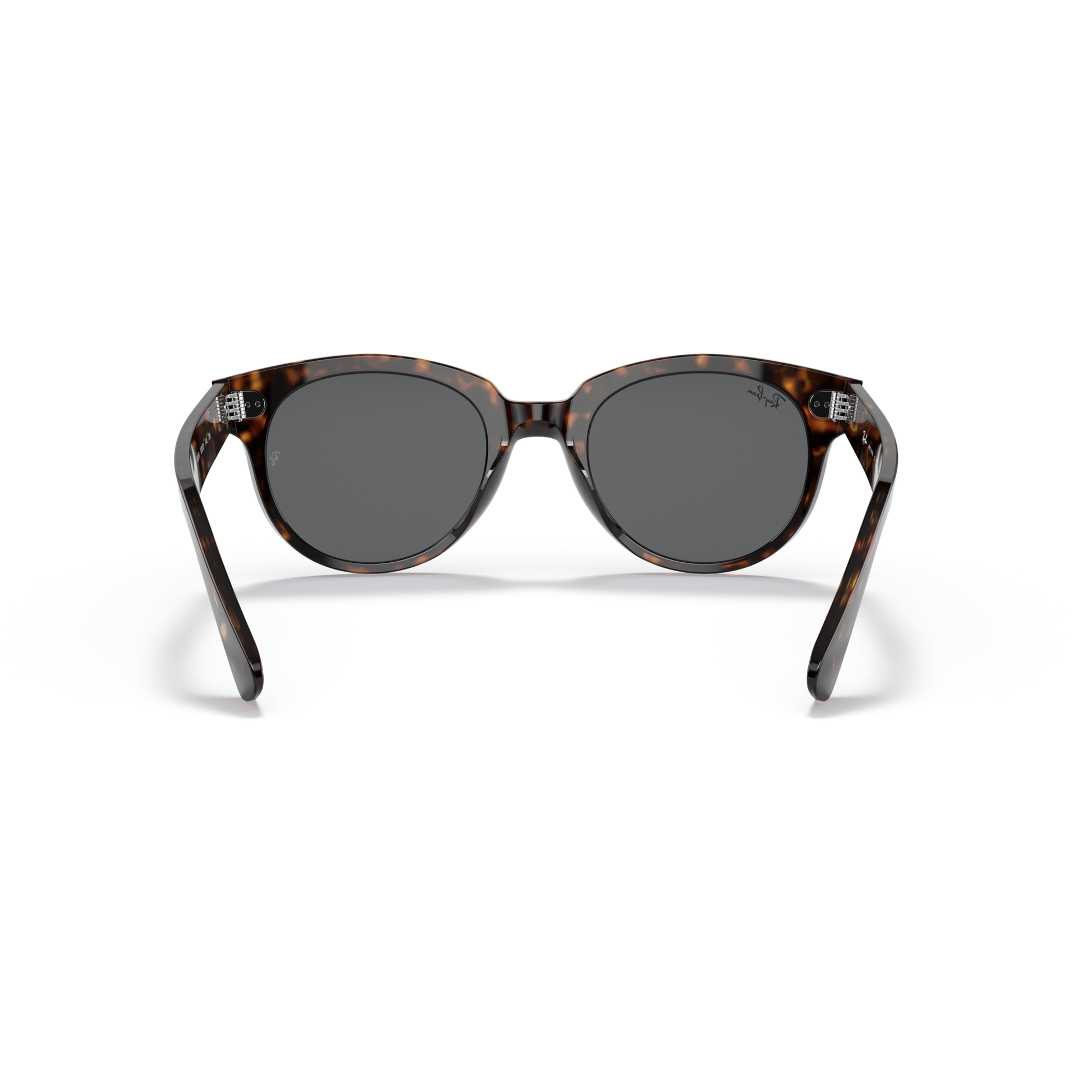 Tortoiseshell sunglasses with dark lenses on a white background Polished Tortoise + Dark Grey