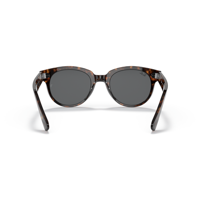 Tortoiseshell sunglasses with dark lenses on a white background Polished Tortoise + Dark Grey