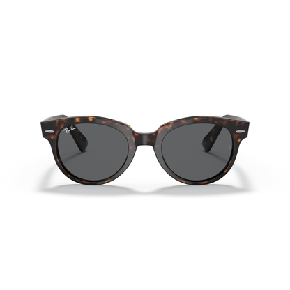 Sunglasses with tortoiseshell frame and dark lenses on a white background Polished Tortoise + Dark Grey