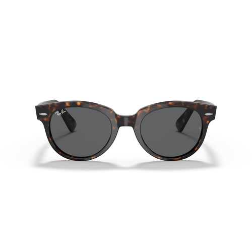Sunglasses with tortoiseshell frame and dark lenses on a white background Polished Tortoise + Dark Grey