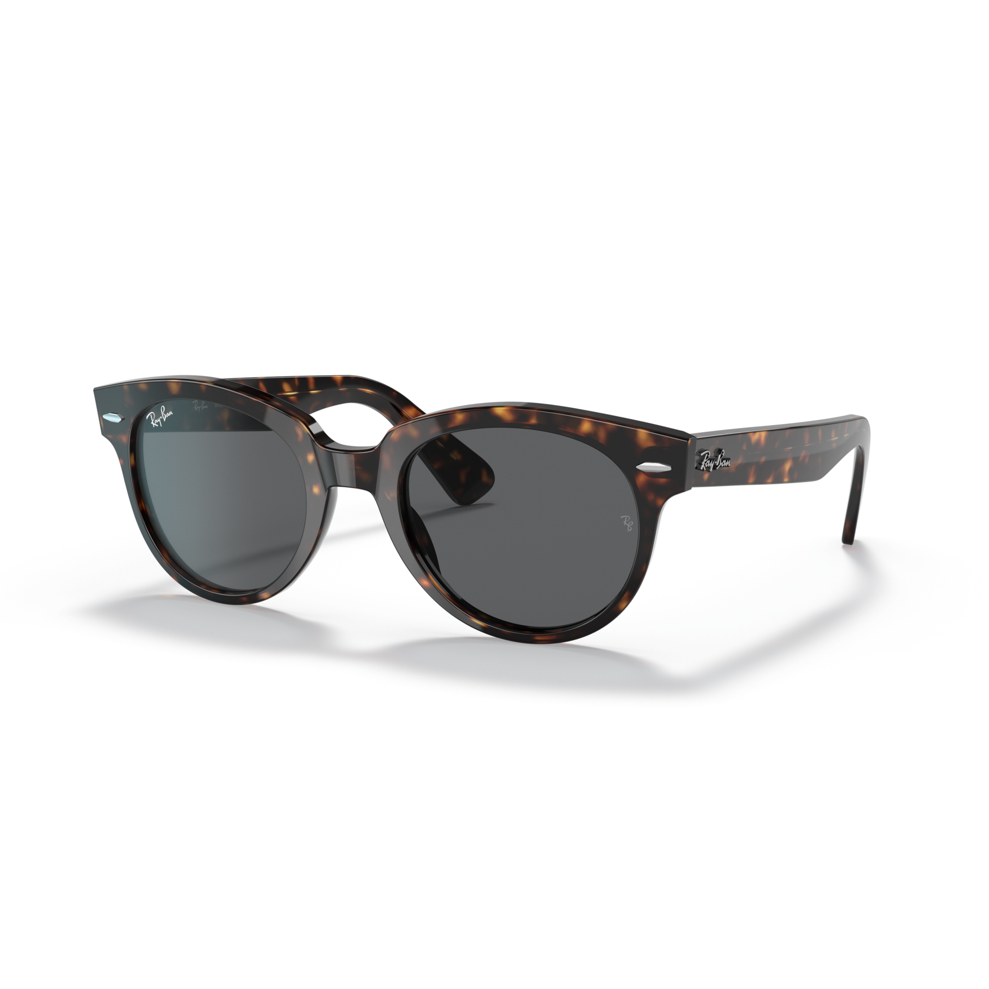 Tortoiseshell sunglasses with dark lenses on a white background Polished Tortoise + Dark Grey