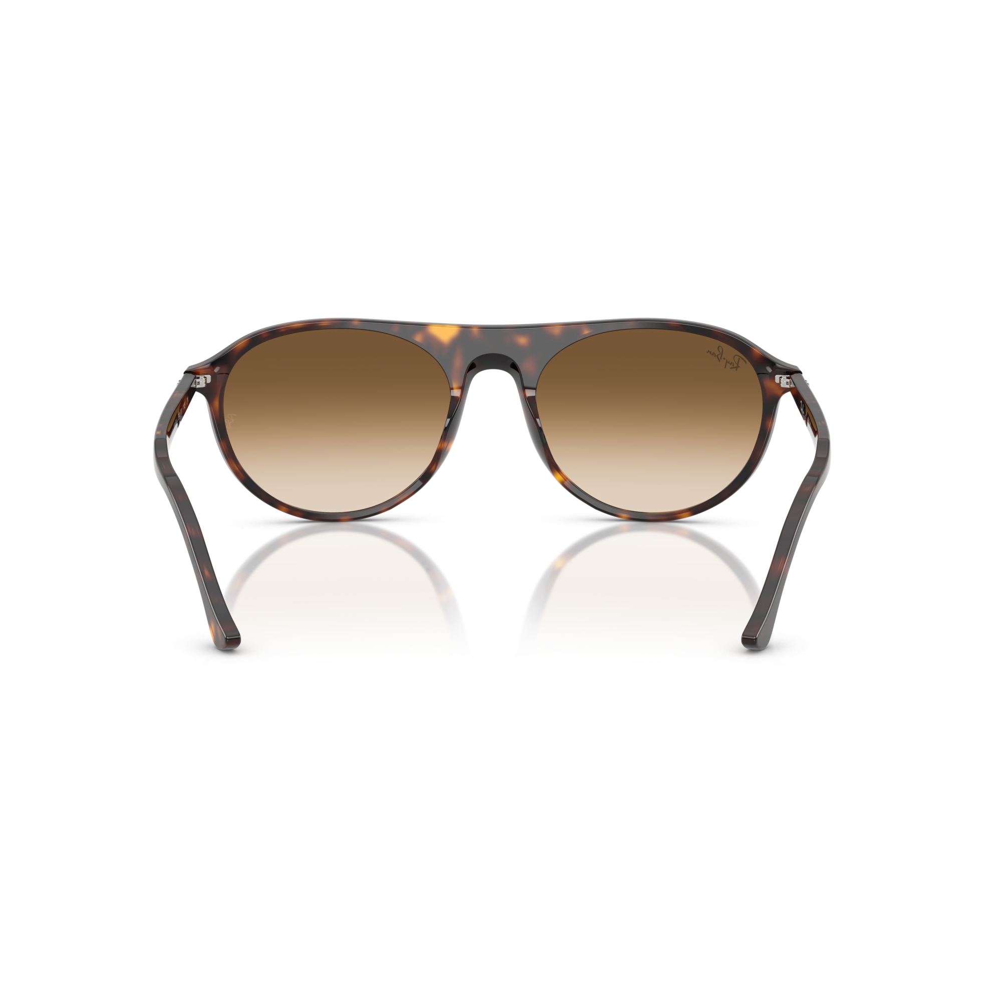 Sunglasses with tortoiseshell frame and brown gradient lenses on a white background Polished Havana + Clear Gradient Brown