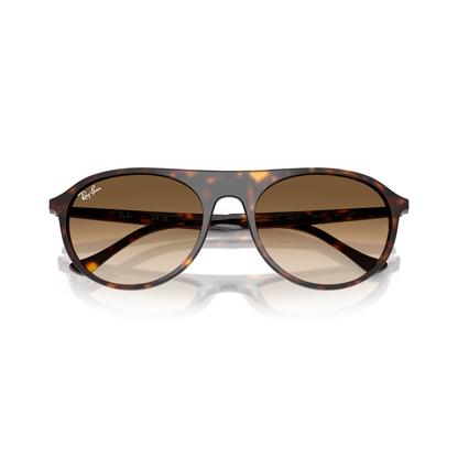 Tortoiseshell sunglasses with brown lenses on a white background Polished Havana + Clear Gradient Brown