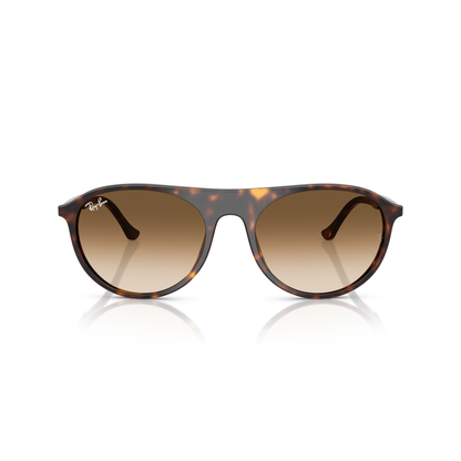 Tortoiseshell sunglasses with brown gradient lenses on a white background Polished Havana + Clear Gradient Brown