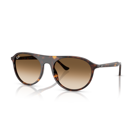Sunglasses with tortoiseshell frame and brown gradient lenses on a white background Polished Havana + Clear Gradient Brown