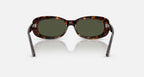 Ray-Ban RB2221 Sunglasses - Velocity 21 Polished Havana + Green