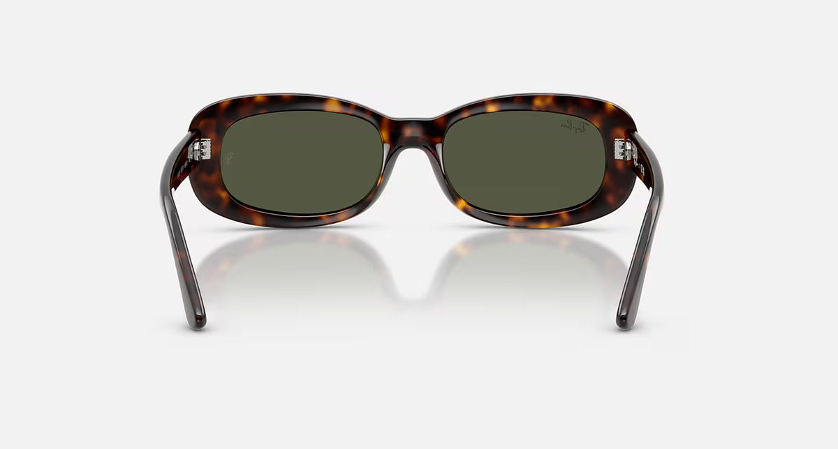 Ray-Ban RB2221 Sunglasses - Velocity 21 Polished Havana + Green