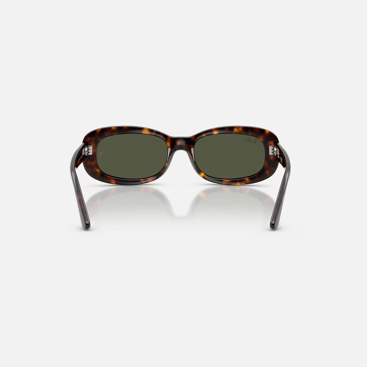 Ray-Ban RB2221 Sunglasses - Velocity 21 Polished Havana + Green