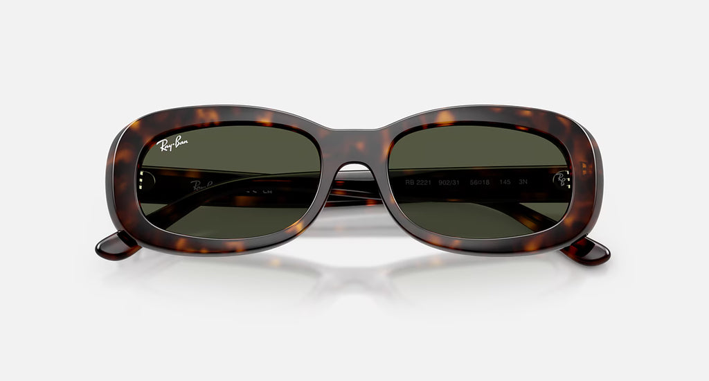 Ray-Ban RB2221 Sunglasses - Velocity 21 Polished Havana + Green