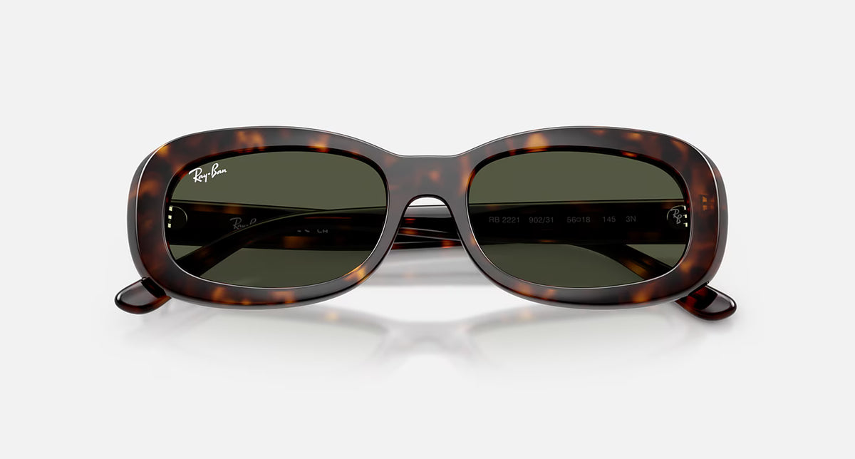 Ray-Ban RB2221 Sunglasses - Velocity 21 Polished Havana + Green