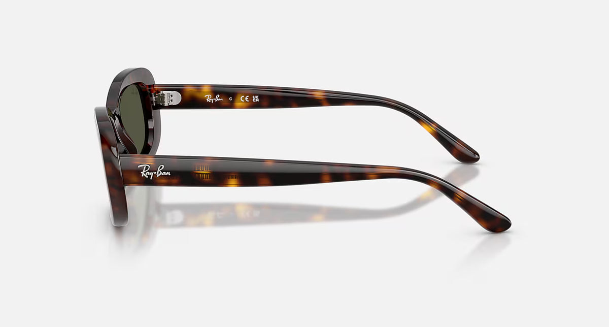 Ray-Ban RB2221 Sunglasses - Velocity 21 Polished Havana + Green