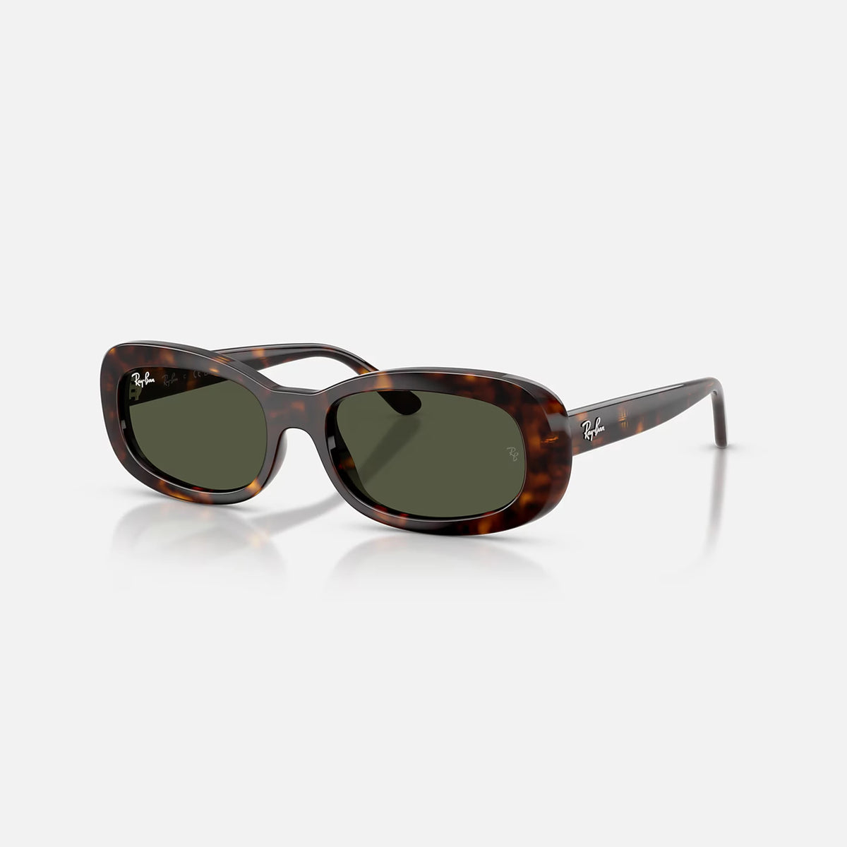 Ray-Ban RB2221 Sunglasses - Velocity 21 Polished Havana + Green