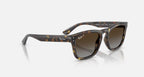 Ray-Ban RB2238 Sunglasses - Velocity 21 P Polished Havana + Polarised Light Grey Gradient Brown
