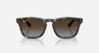Ray-Ban RB2238 Sunglasses - Velocity 21 P Polished Havana + Polarised Light Grey Gradient Brown