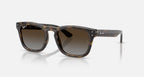 Ray-Ban RB2238 Sunglasses - Velocity 21 P Polished Havana + Polarised Light Grey Gradient Brown