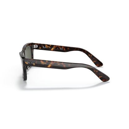 Tortoiseshell sunglasses with Ray-Ban logo on a white background Polished Havana + G-15 Green