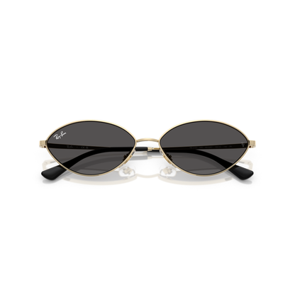 Gold-framed sunglasses with black lenses on a white background Polished Pale Gold + Dark Grey