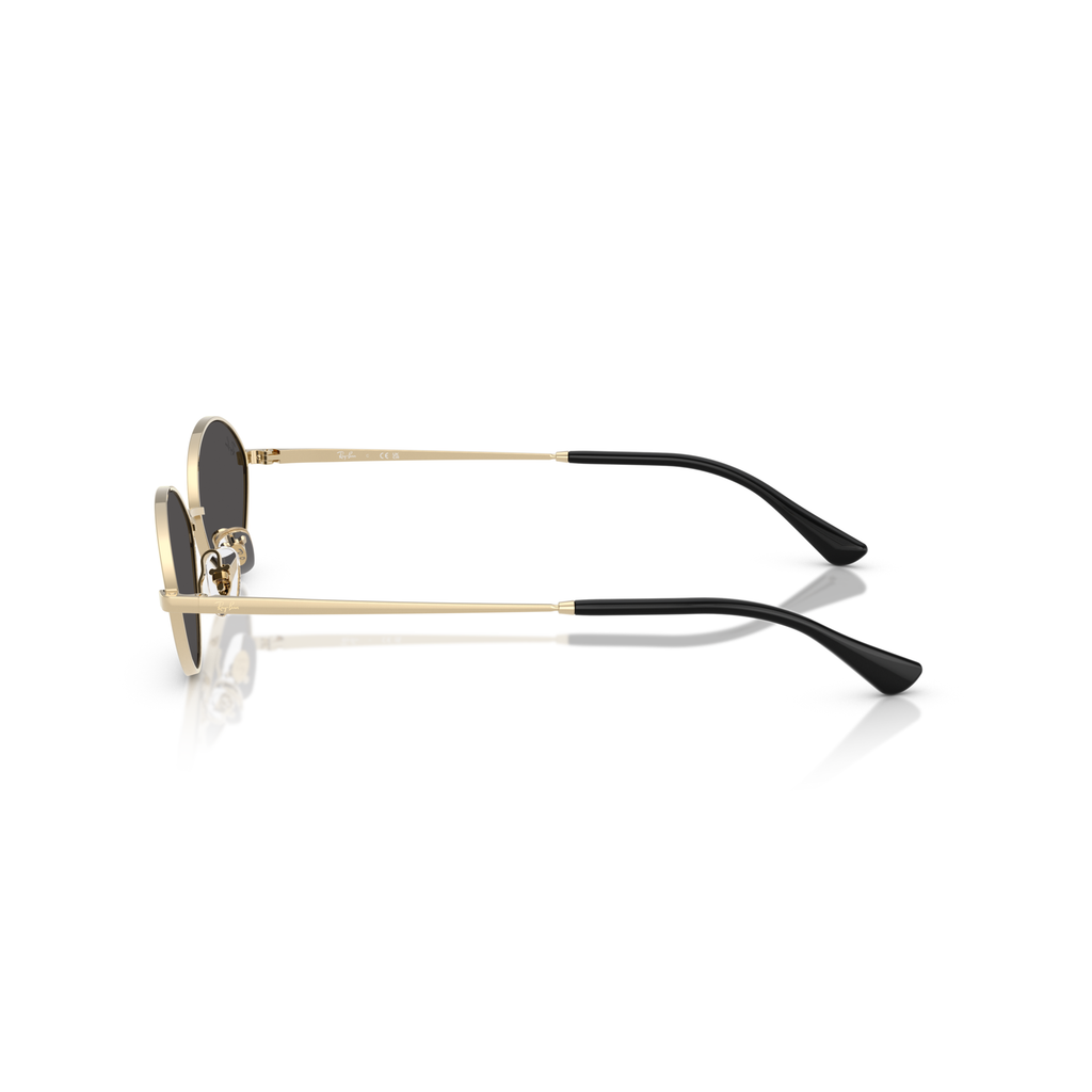 Sunglasses with gold and black frame on a white background Polished Pale Gold + Dark Grey