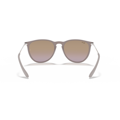 Ray Ban Erika Sunglasses - Velocity 21 Transparent Dark Brown + Brown Gradient Polarised