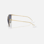 Ray Ban Erika Sunglasses - Velocity 21 Transparent Light Brown + Light Grey Gradient Dark Blue