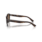 Tortoiseshell sunglasses with Ray-Ban logo on a white background Polished Havana + Brown Polarised