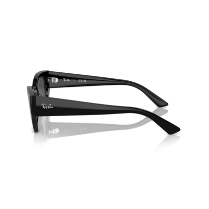 Black Ray-Ban sunglasses on a white background Polished Black + Dark Grey