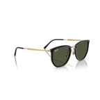 Black and gold sunglasses with green lenses on a white background Polished Black + G-15 Green