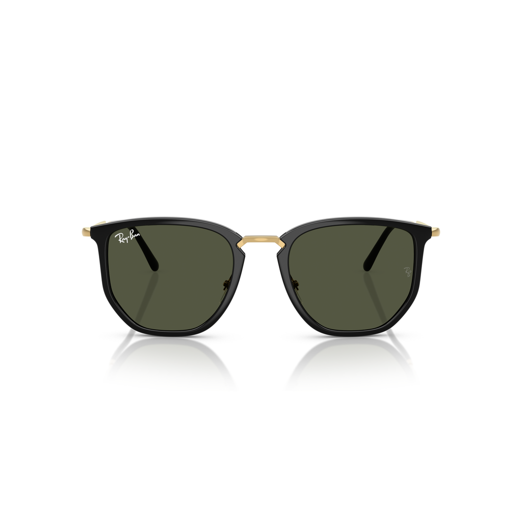 Black sunglasses with gold frame on a white background Polished Black + G-15 Green
