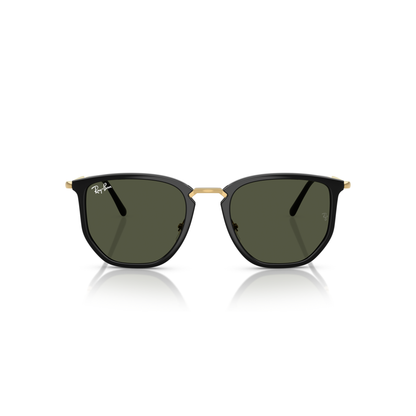 Black sunglasses with gold frame on a white background Polished Black + G-15 Green