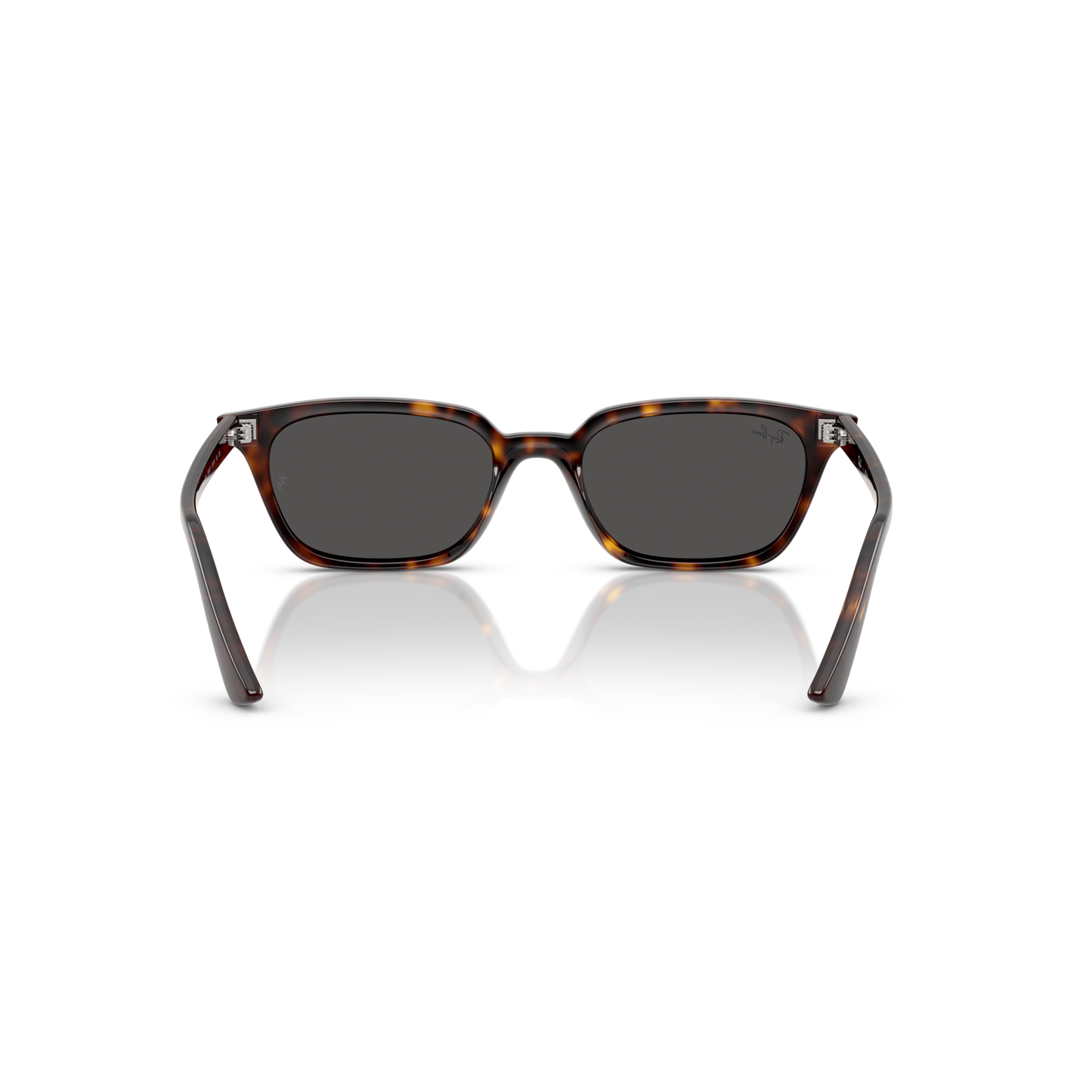 Sunglasses with tortoiseshell frame and dark lenses on a white background Polished Havana + Dark Grey