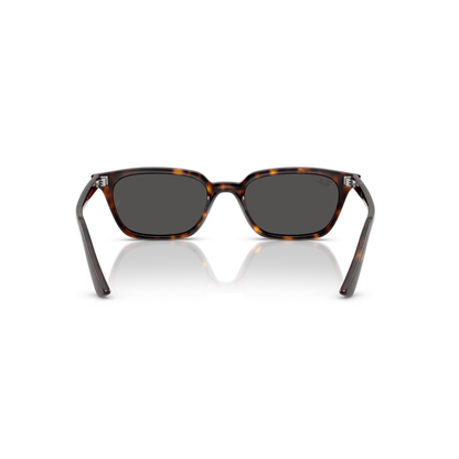 Sunglasses with tortoiseshell frame and dark lenses on a white background Polished Havana + Dark Grey