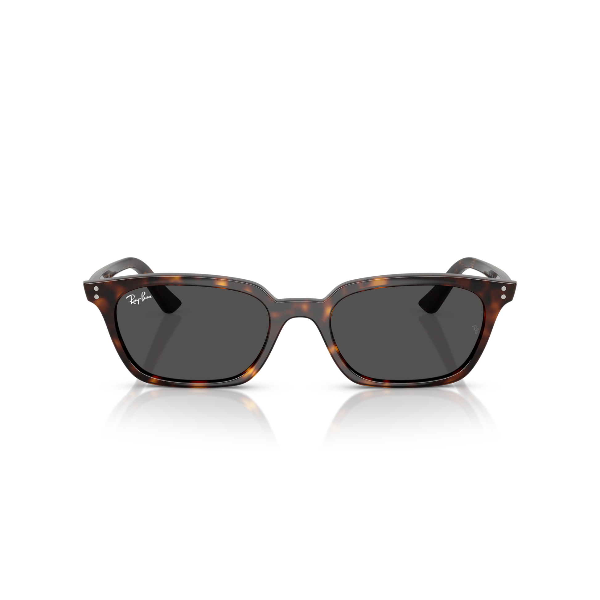 Sunglasses with tortoiseshell frame and dark lenses on a white background Polished Havana + Dark Grey
