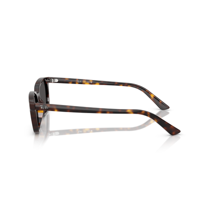 Sunglasses with tortoiseshell frame on a white background Polished Havana + Dark Grey