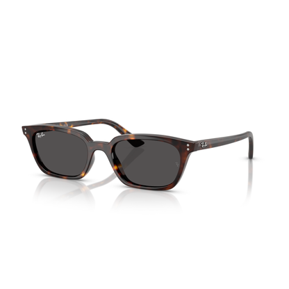 Sunglasses with tortoiseshell frame and dark lenses on a white background Polished Havana + Dark Grey