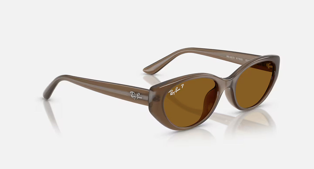 Ray-Ban RB4457D Bio-Based Sunglasses - Velocity 21 Polished Transparent Brown + Dark Brown Polarised