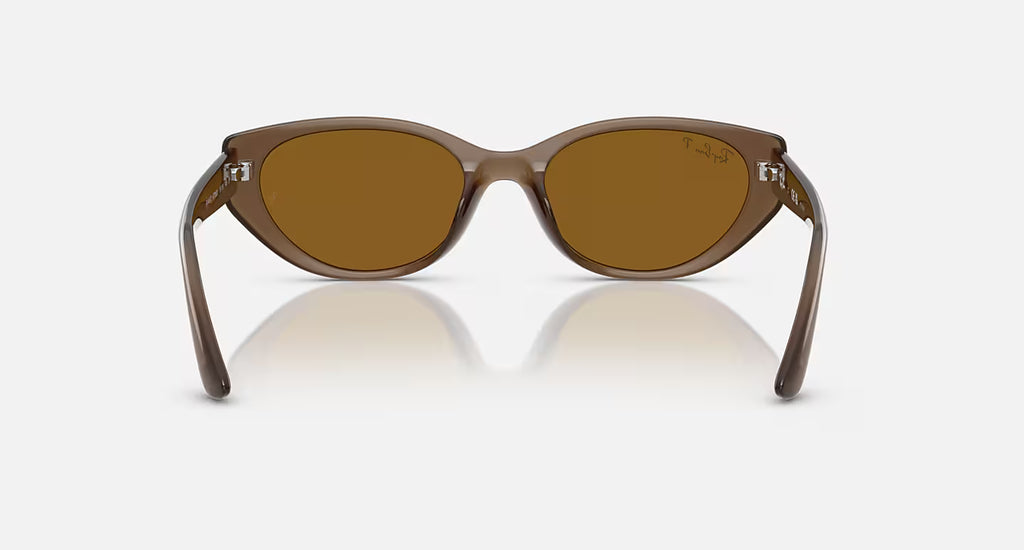 Ray-Ban RB4457D Bio-Based Sunglasses - Velocity 21 Polished Transparent Brown + Dark Brown Polarised